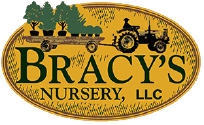 Bracy's